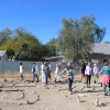 The Solstice labyrinth walk @Yoga4allTucson