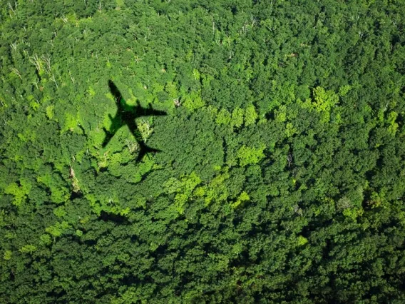 Image of shadow of an airplane over dense green foliage