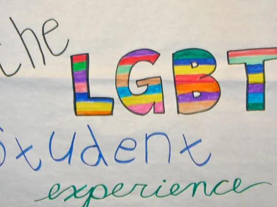 Handmade banner stating "The LGBT Student Experience"