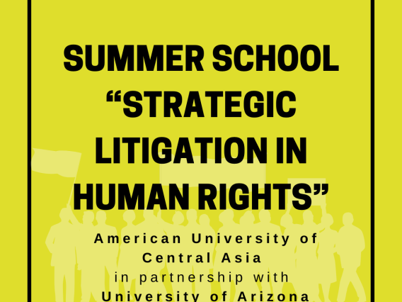 “Strategic Litigation in Human Rights” -- Summer 2024