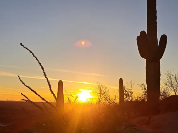 Tanque Verde sunset, Tucson, AZ