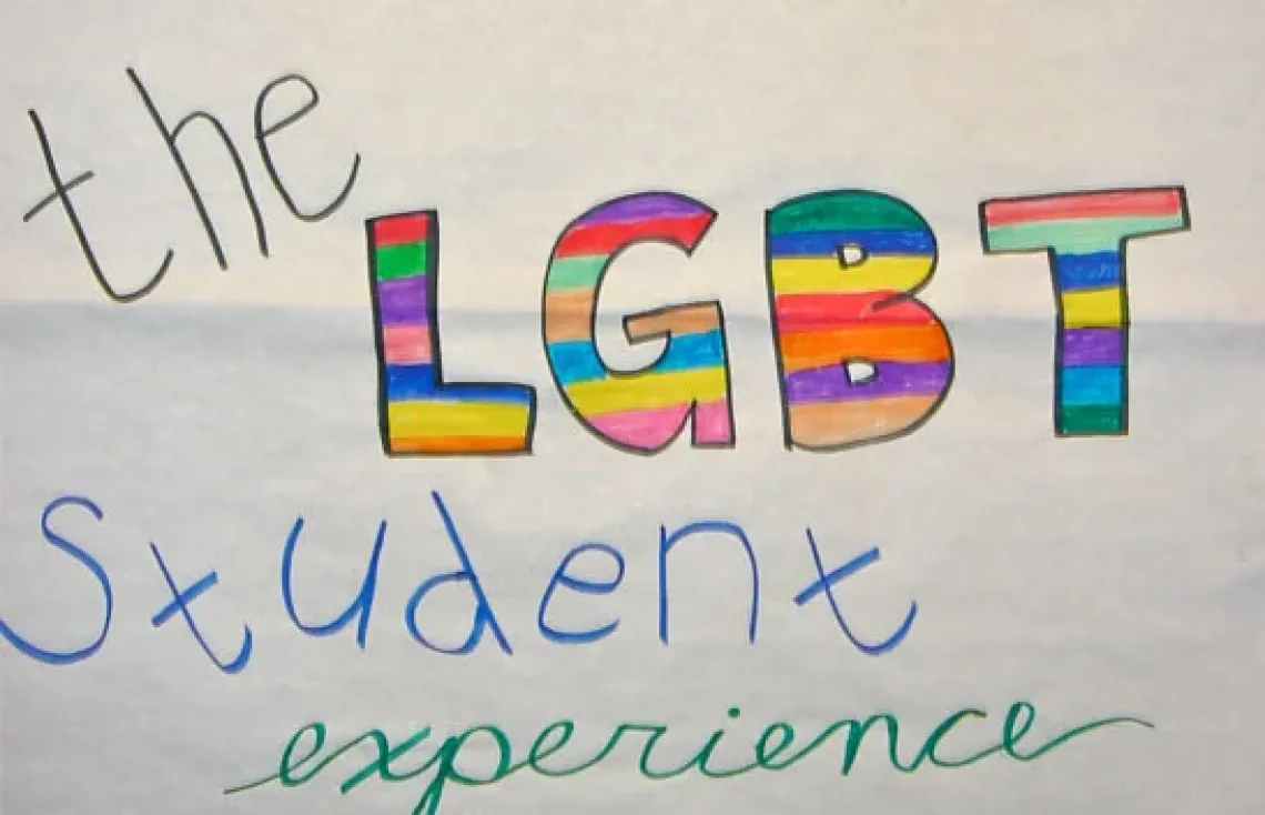 Handmade banner stating "The LGBT Student Experience"